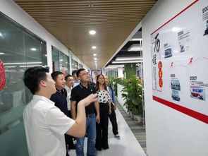 電商賦能新藍(lán)海 蘇寧拼購如何助力老年手機企業(yè)實現(xiàn)轉(zhuǎn)型騰飛
